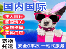 柳州白莲机场托运国际宠物托运 【国